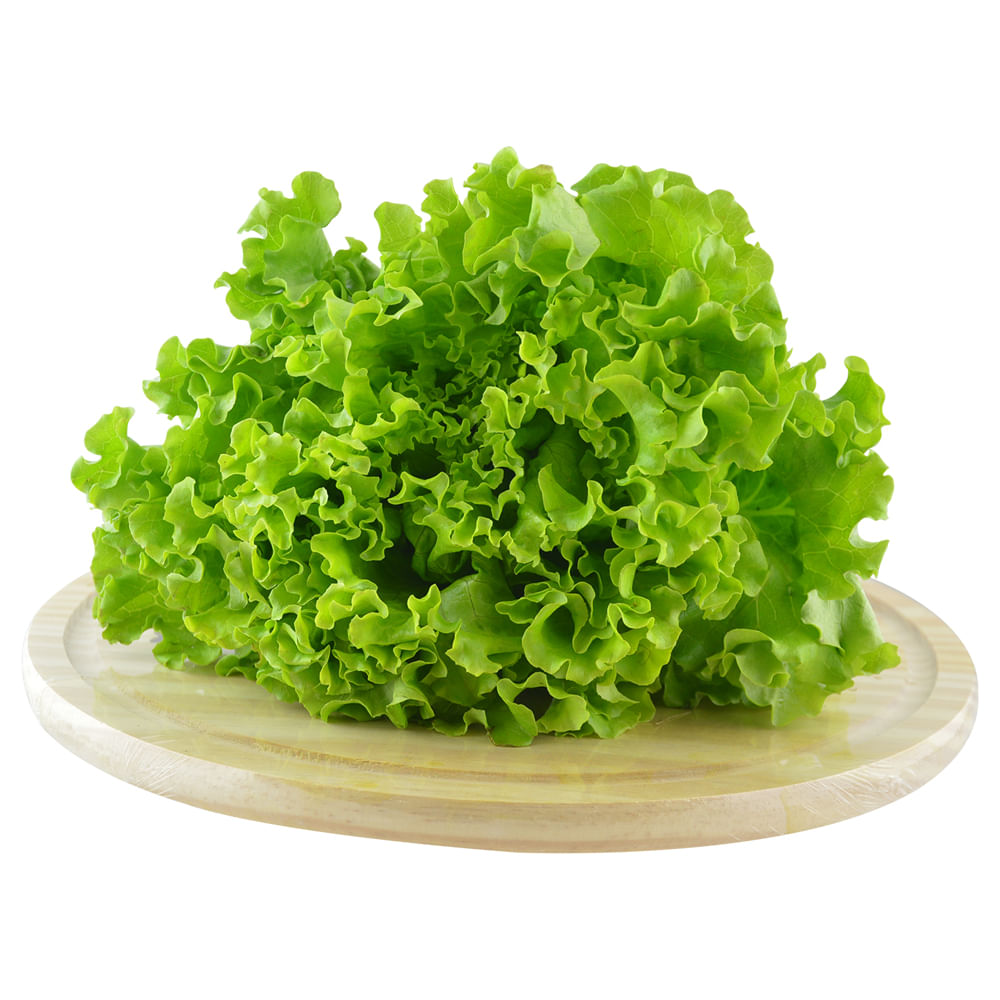 Alface crespa